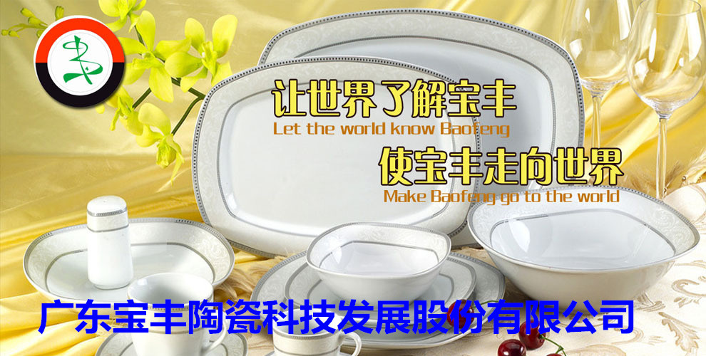 廣東寶豐陶瓷科技發(fā)展股份有限公司成立于2003年，占地總面積5萬(wàn)平方米，建筑面積3萬(wàn)平方米，2004年10月建成投產(chǎn)?，F(xiàn)擁有兩條先進(jìn)遂道窯生產(chǎn)線(xiàn),主要生產(chǎn)中高檔日用陶瓷，產(chǎn)品遠(yuǎn)銷(xiāo)歐美，東南亞等國(guó)家。
